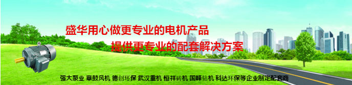 山东电机厂,大功率防爆电机,大功率电机,防爆电机,盛华电机