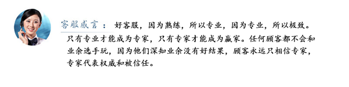 山东电机厂,大功率防爆电机,大功率电机,防爆电机,盛华电机